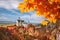 Neuschwanstein castle with autumn leaves in Bavaria, Germany