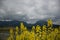 Neuschwanstein castle in cloudy spring sky, view from Forggensee lake