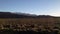 Nevada Fields Panorama