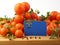 Nevada flag on a wooden panel with tomatoes isolated on a white