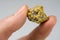 Nevada USA Gold / Quartz Nugget