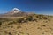 Nevado Sajama