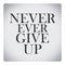 Never ever give up,quote about life