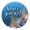 Never give up - Positive phrase. Snowy grass on the shore over water