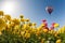 Neverland sun, flowers and balloon