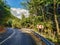 New asphalt road with metal fence barrier and sign for curve ahead surrounded by nature