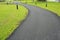 New asphalt which is a smooth road walkway in the green grass garden