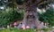 A new attraction with a talking tree that tells a fairy tale at The efteling