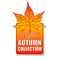 New autumn collection label with leaf