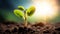 New beginnings: Young sprout basking in the sun\\\'s warm glow. created with Generative AI