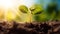 New beginnings: Young sprout basking in the sun\\\'s warm glow. created with Generative AI