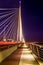 New Belgrade bridge in night shot