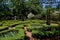 New Bern, NC: 1770 Tryon Palace Knot Garden