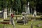 New Bern, NC: Cedar Grove Cemetery
