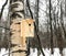 New birdhouse on birch