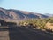 New black asphalt road and landscape of green palm trees in oasis, central Morocco in old Oulad village near Zagora city