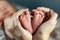 New born baby`s feet in mother hands - hearth shape