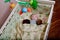 New born child in wooden co-sleeper crib. Infant sleeping in bedside bassinet. Safe co-sleeping in a bed side cot. Little boy taki