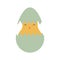 new born easter egg. Vector illustration decorative design