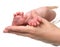 New born infant baby feet in mother hands. Mom and Child