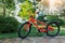 New bright red color teen bike stand in garden at home backyard. Child birthday gift present. Kid sport outdoor activity