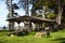 New Brighton State Beach and Campground, Capitola, California