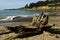 New Brighton State Beach and Campground, Capitola, California