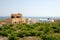 New buildings and vineyard in Greece