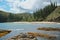 New Caledonia coastline beach Araucaria pines