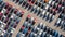 New car lined up in the port for business car import and export logistic, Aerial view