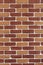 New and clean brown brick wall