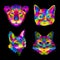 New collection colorful animal head pets pop art portrait