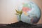 New concept of life and renewal. Small green sprout on a background of the globe