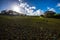 New crops in Combe Valley, East Sussex, England