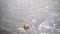 New delhi, India - April 2019: Indian man leaving decorative candle on river stream in summer day.