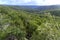 New England High Country Gondwana Rainforest