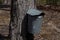 New england maple syrup sap buckets