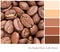 New England Roast Coffee Palette