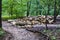 New Fishpond at Mill Mountain Park, Virginia, USA