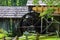 New Flume at Mabry Mill, Blue Ridge Parkway, Virginia, USA