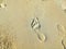 New footprints on pure yellow wet sand