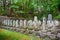 New government military cemetery at Hakodate Gokoku Shrine in Hakodate City, Hokkaido, Japan. a