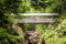 New Hampshire Flume Gorge Sentinel Pine Covered Bridge