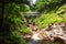 New Hampshire Flume Gorge Sentinel Pine Covered Bridge