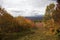 New Hampshire Foliage on Hillside