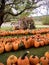 New Hampshire Garden Center