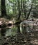 New Hampshire Summer in the River