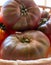 New harvest of big raddish-purple heirloom tomatoes Black Crimea