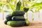 New harvest of fresh gherkins against the background of wooden fence and cucumber leaves. Healthy food concept. Copy space