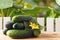 New harvest of fresh gherkins against the background of wooden fence and cucumber leaves. Vegetarian food concept. Copy space